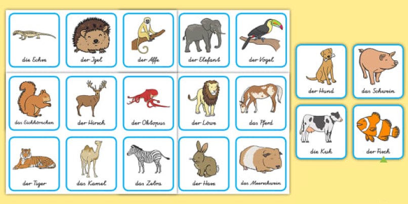 Almanca Hayvanlar ve Artikelleri